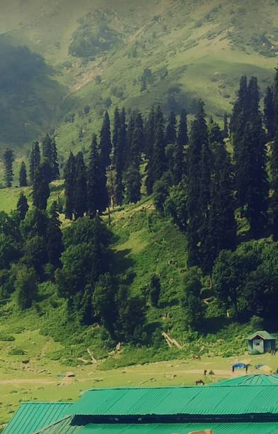 istock Beautiful @  pictures meadow 1653151059