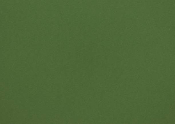 istock Uniform green background throughout the frame. 1653153686