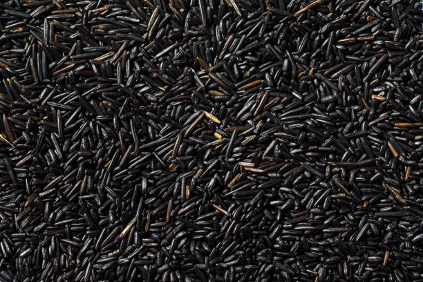 istock Organic Dry Black Forbidden Rice 1653205075
