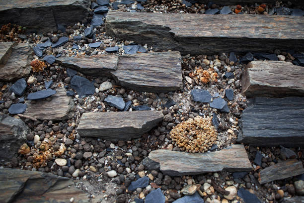 Nature made rocks and stairs