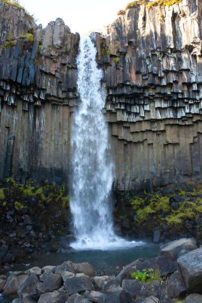 istock View at Svartifoss waterfall in Iceland 1653236162