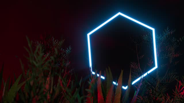 Neon hexagon shape rotating among tropical plants. Loop 3d animation background