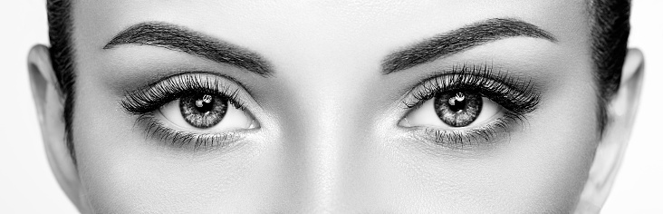 Close-up of female face, brows, eyes and nose isolated on white background. Lash lamination, brow care, eye lenses, vision. Concept of natural beauty, cosmetology and cosmetics, skin care, spa. Ad