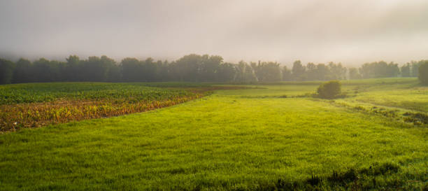 istock morning sun on a farmer's field 1653285046