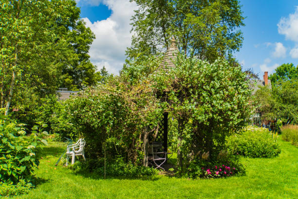 istock garden gazebo covered over by grape honeysuckle 1653285577