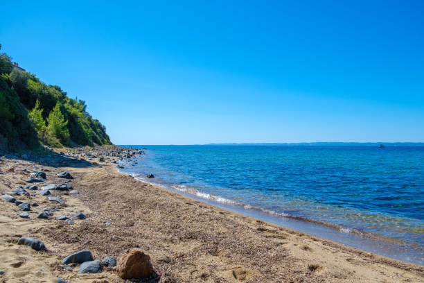 istock Beach with trees on the Mediterranean Sea 1653330006