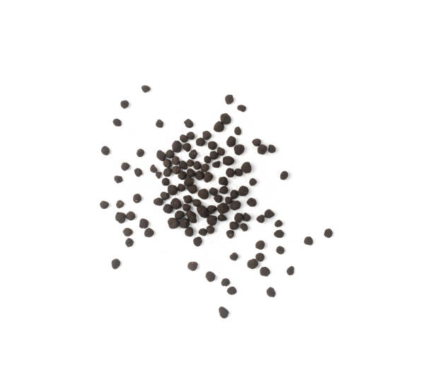 istock Granular Aquarium Soil, Natural Fish Tank Substrate, Black Organic Topsoil Saturated with Fertilizers 1653352101