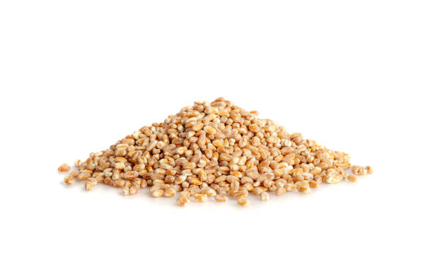 istock Wheat Grains, Barley Pile, Dry Cereal Seeds, Wheat Grains Heap on White 1653355823