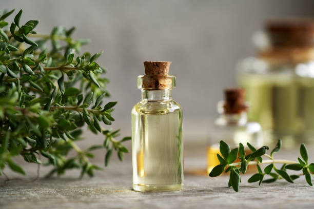 istock A bottle of thyme essential oil with fresh thyme 1653394935