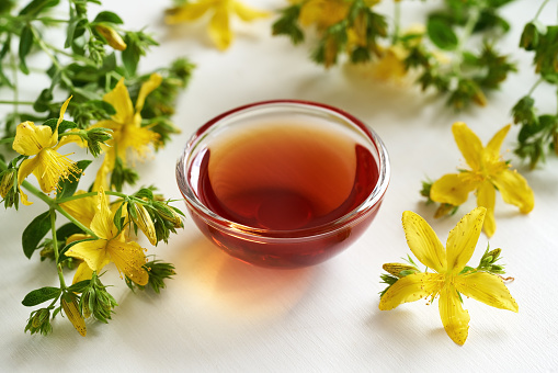 St. John's wort oil with fresh Hypericum flowers