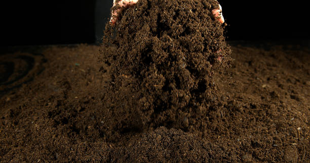 istock Handful of Soil 1653410928