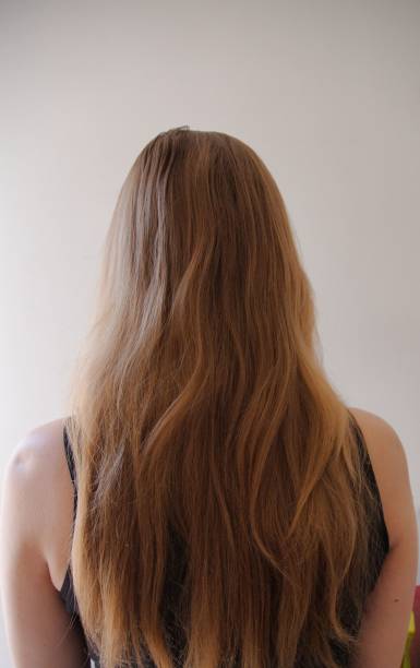 cabello largo de una mujer por detrás, sobre un fondo blanco - long hair rear view brown hair the human body fotografías e imágenes de stock