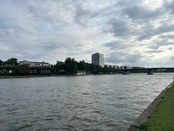 istock Waterfront of Main river in Frankfurt 1653444742