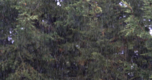 istock Rain on Pond, Normandy in France 1653452846