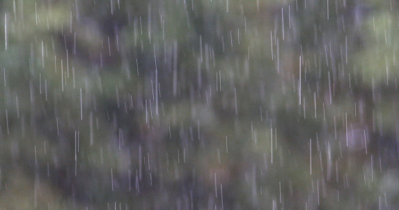 Rain on Pond, Normandy in France