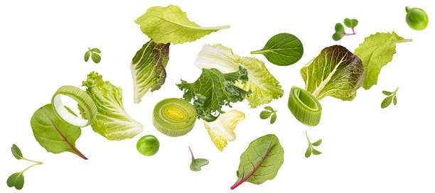 istock Falling salad leaves isolated on white background with clipping path 1653558568
