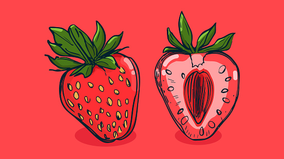 Set of Strawberry fruit, Vector illustration in one line sketch style, flat hand drawn sketch, Colorful fruit with shadow and light, isolated on colored background.