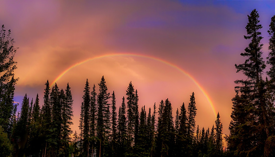 A rainbow adds to the beauty of the end of a summer day in Interior Alaska.
