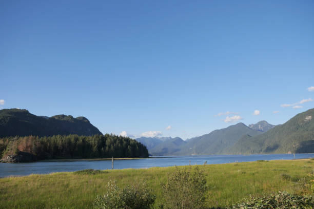 istock Pitt Lake - Grant Narrows Regional Park 1653967850