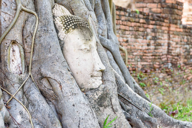 istock The stone Buddha head entwined in tree roots at Ayutthaya 1653972042