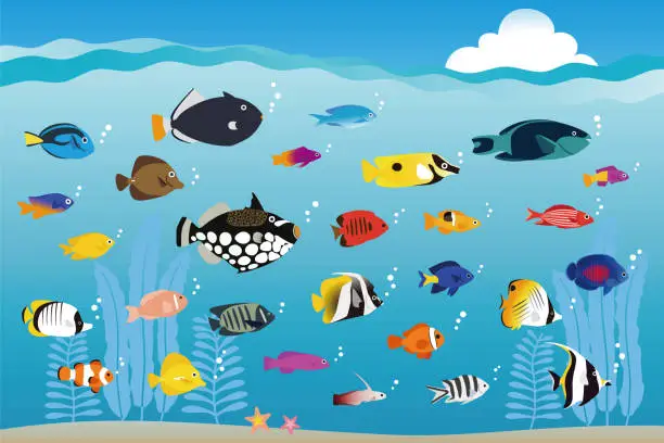 Vector illustration of Colorful tropical fishes swimming in the sea