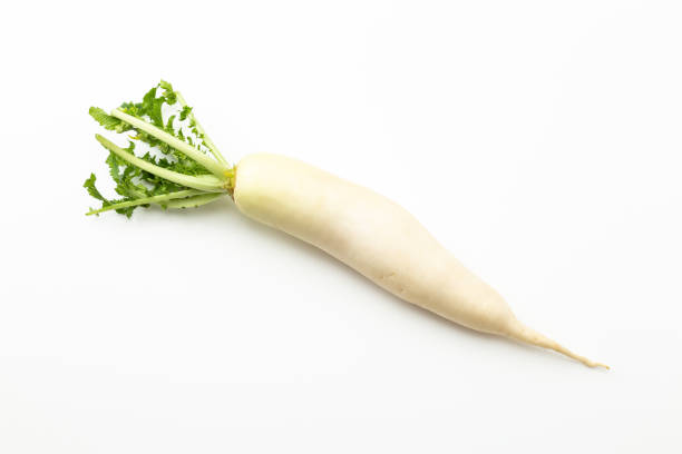 istock Japanese radish on a white background. 1654025845