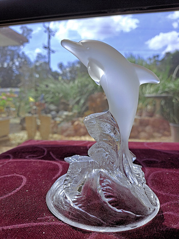 Abstract or Dolphin in Glass