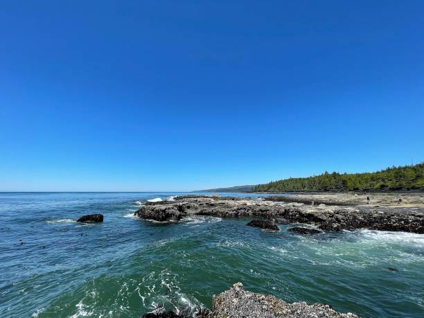 istock Botanical beach @ Vancouver island 1654110925