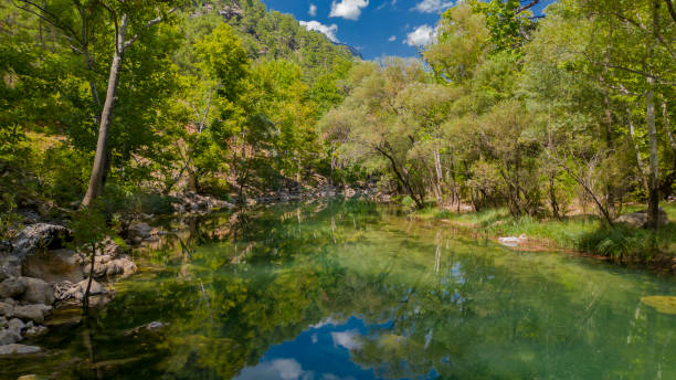 istock enormous enchanting reflections with plane trees at the river source 1654113950