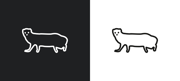 mongoose outline icon in white and black colors. mongoose flat vector icon from animals collection for web, mobile apps and ui.