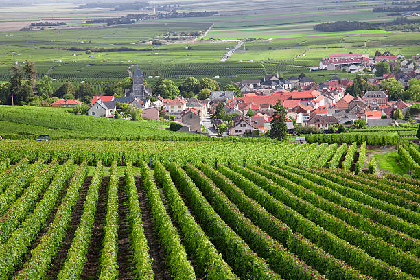 Burgundy region General view of one of the most famous region of wine production in France, where tourists from all over the world come to taste and visit the caves and farms of the rural zone of Burgundy. burgundy france stock pictures, royalty-free photos & images