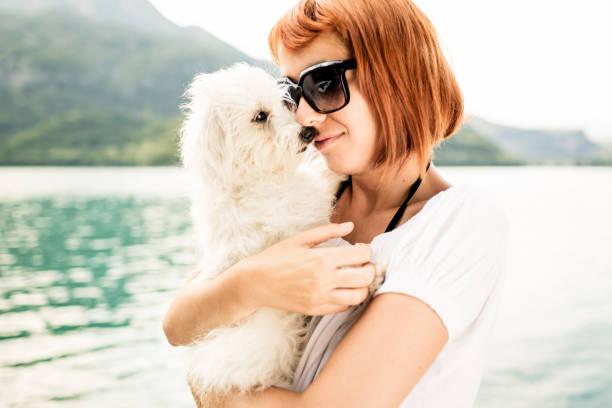 istock Woman holding her dog 165418162