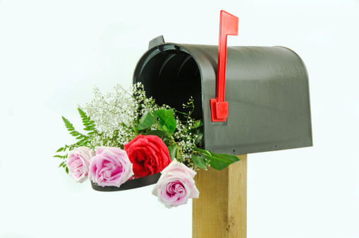 A  black  rural mailbox open with four roses.  Isolated on a white background.