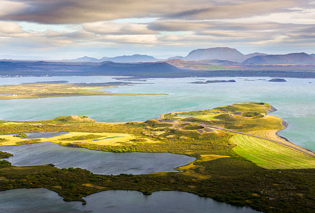 lake myvatn in iceland, nature reserve and place for large bird colonies