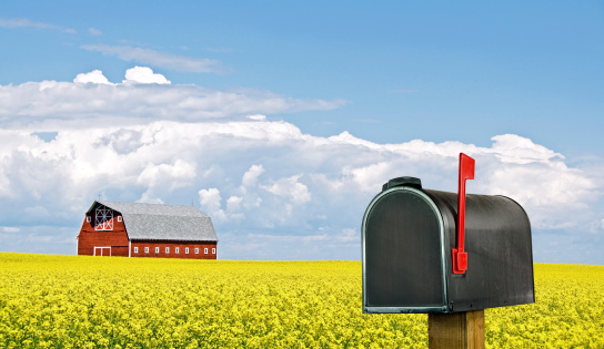 A  black country and rural mailbox with the flag raised and copy space on the mailbox In the background is a red barn and blooming canola field.