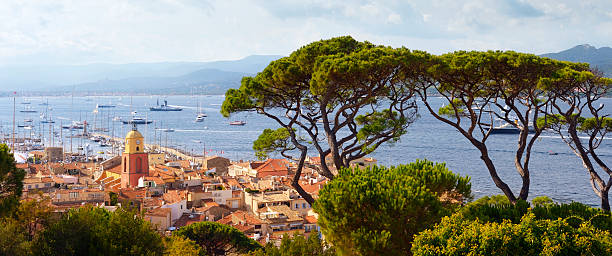 Huge Pine Trees above St. Tropez at the Cote D'Azur Panorama of St. Tropez (view from the citadel), French Riviera. d'azur stock pictures, royalty-free photos & images