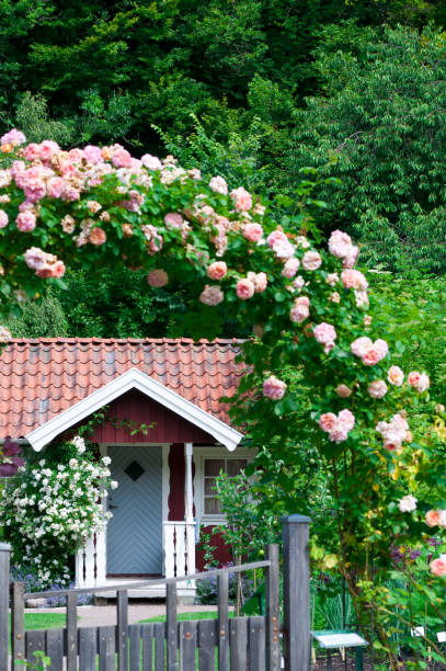istock Idyllic red cottage in botanical garden 165418939