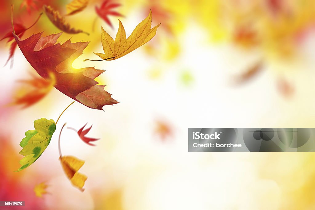 Spadające jesienią liście - Zbiór zdjęć royalty-free (Jesień)