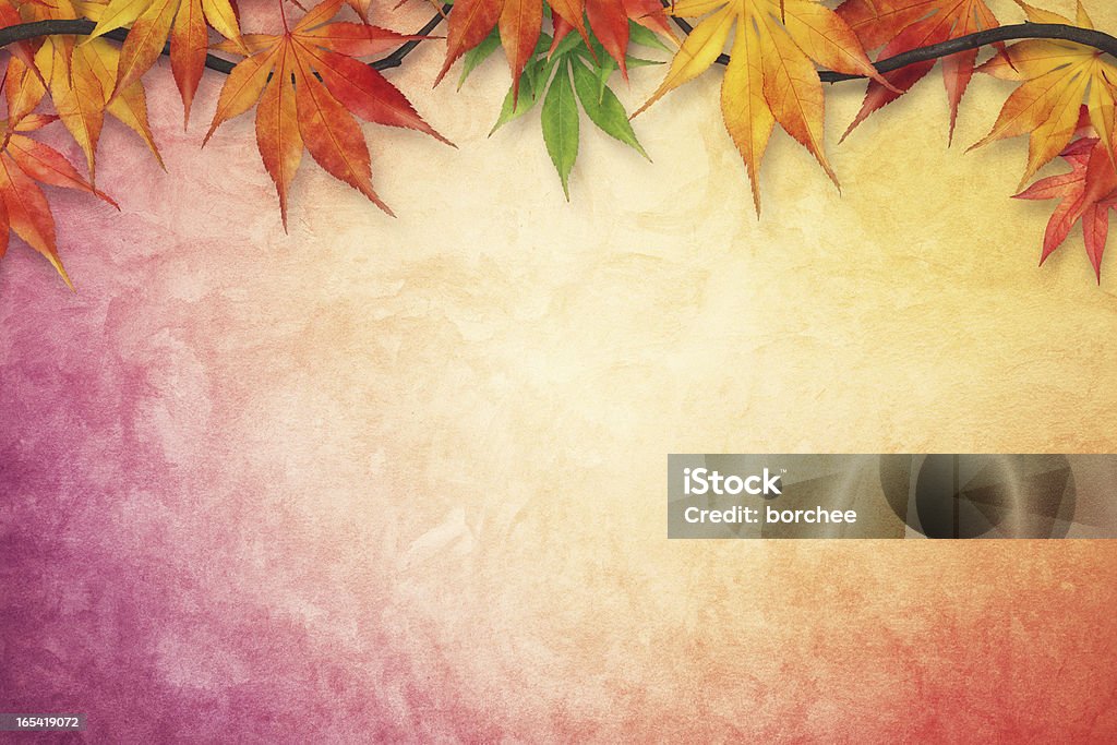 秋の背景 - 秋のロイヤリティフリーストックフォト