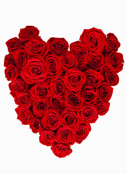 istock Heart of roses 165419242