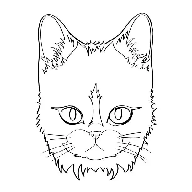 Vector illustration of cat head on white background, vector