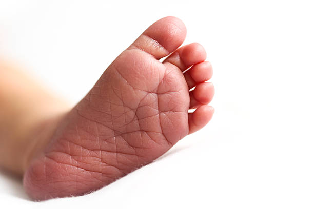 pie de bebé recién nacido - newborn baby human foot photography fotografías e imágenes de stock