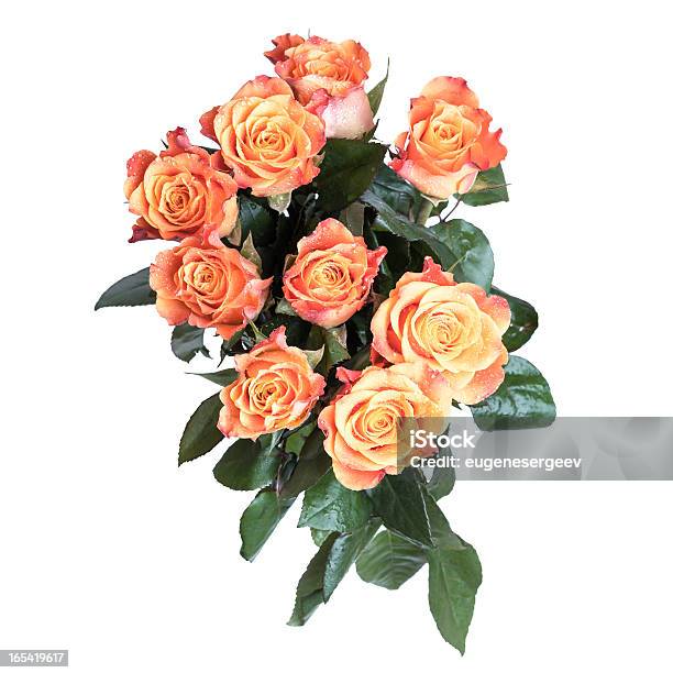 Strauß Rote Und Gelbe Rosen Blumenansicht Von Oben Stockfoto und mehr Bilder von Blume