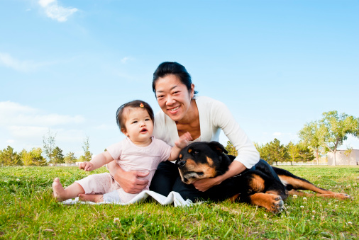 A 9-month old Asian baby girl (Asian - Caucasian mix), her Japanese mother, and a rottweiler mix, together at a park.