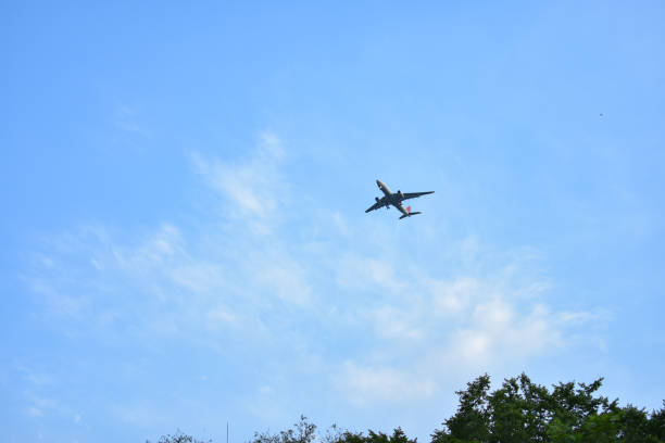 istock plane in the sky, blue sky treetops 1654199306