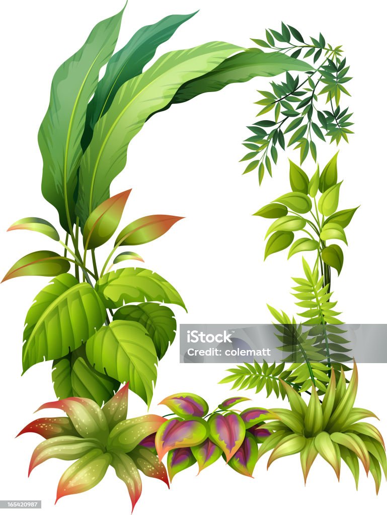 Plantes touffues - clipart vectoriel de Au-dessus de libre de droits