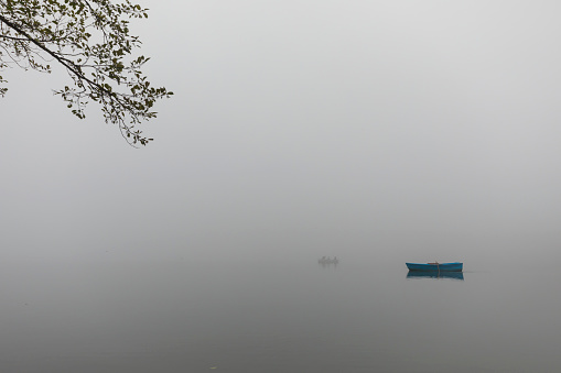 Autumn Season in the Foggy Borcka Black Lake (Borcka Karagol) Photo, Artvin Turkey (Turkiye)