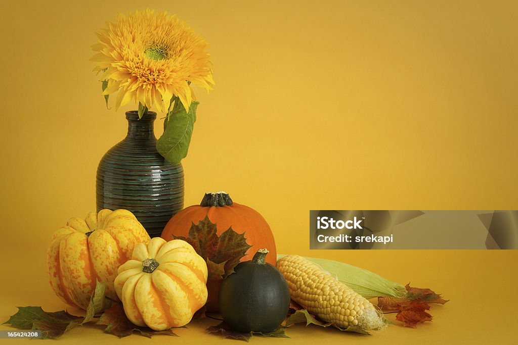 Squashes und Sonnenblume - Lizenzfrei Blatt - Pflanzenbestandteile Stock-Foto