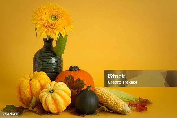 Squashes И Sunflower — стоковые фотографии и другие картинки Без людей - Без людей, Бутылочная тыква, Ваза