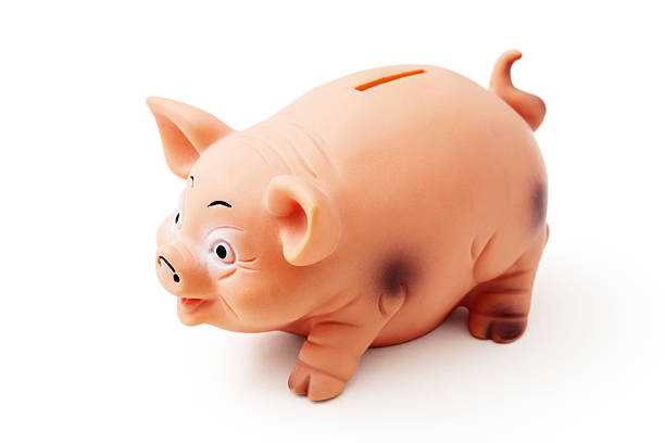 istock Piggy bank 165424271